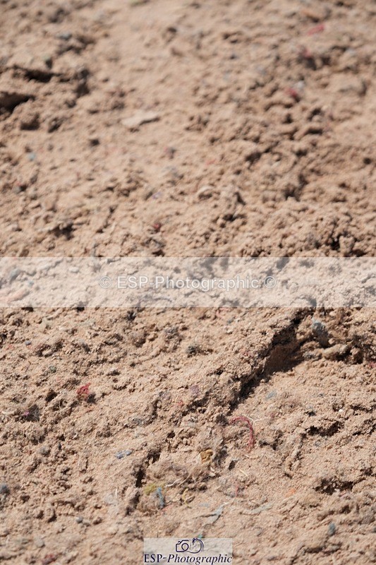 250712-125134-00968 - Cls 3 Medium Pony Team