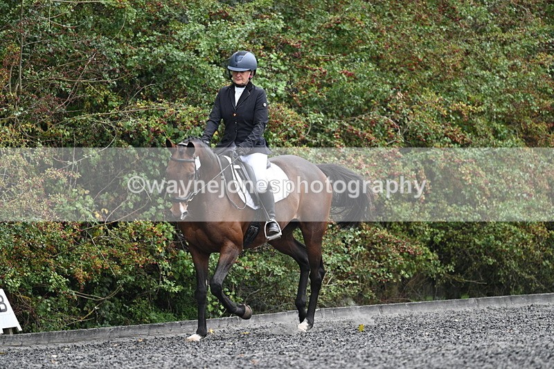 WJ7_3787 - Time 11:04 to 11:38