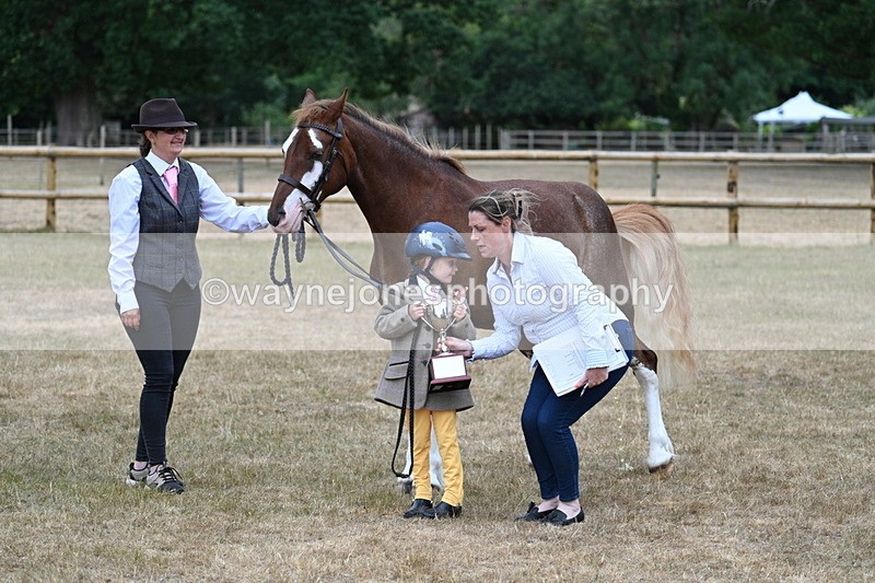 WJ7_9357 - Prettiest Mare Champs