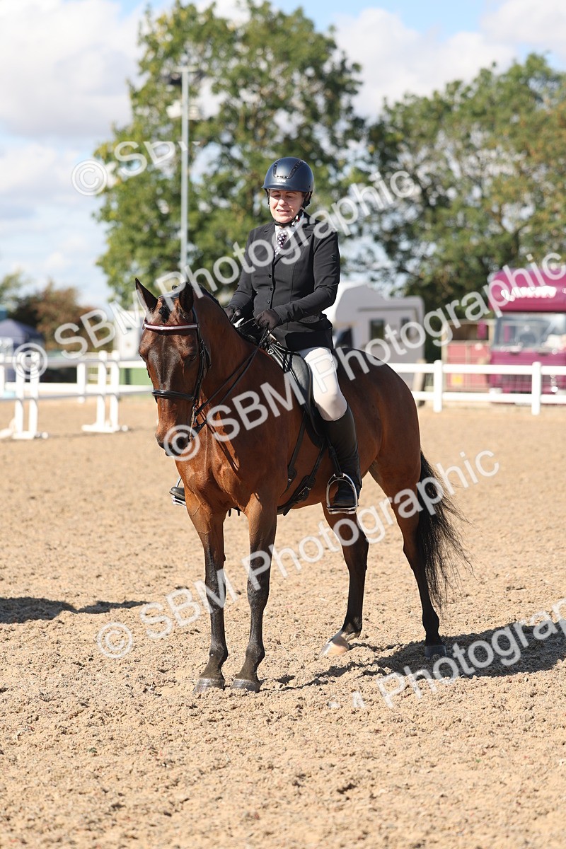 SBM_13119 - Class 305 - Ridden Foreign Breed Pure Bred