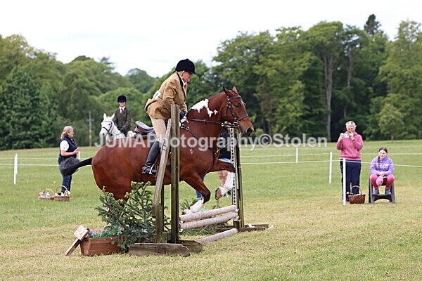 IMG_2780 - Working Hunter