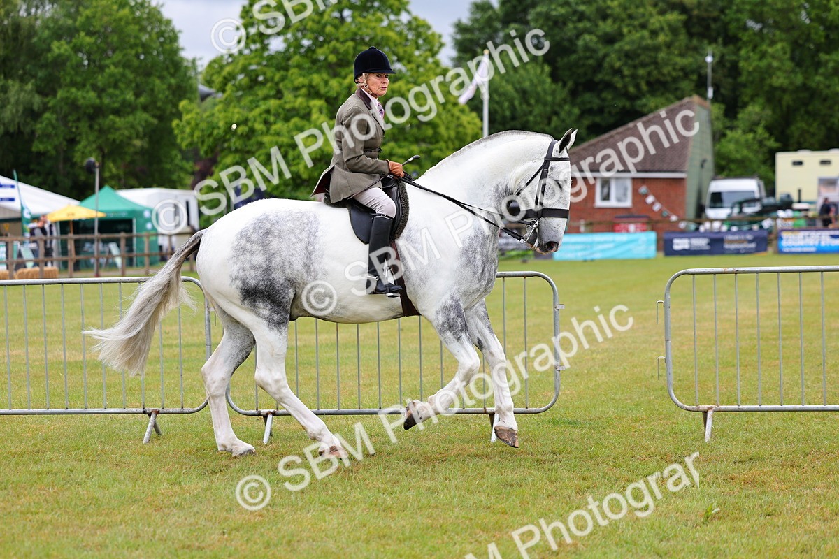 SBM_02490 - Class 9-11 Side Saddle including LIHS Rising Star Ladies Show Horse