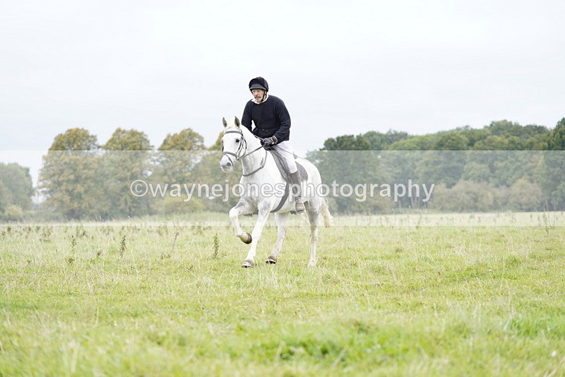 _DSC7017 - Time at Photographer 10:13 to 10:42