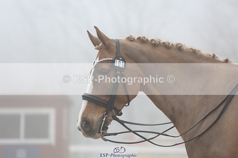 240217A-130124-03017 - 103-Ruth.Saunders-Dizzy.Rascal.VII