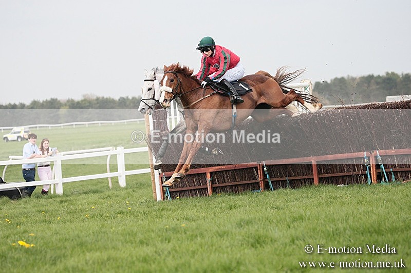 PtP 210418 283 - South & West Wilts Point-to-Point Larkhill 21/04/18