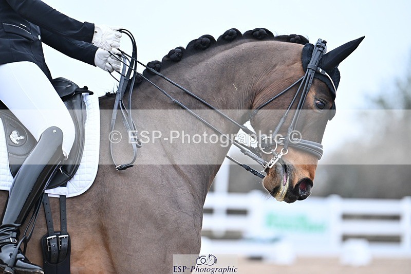 250216-133916-05672 - 171-Ellen.Glover-Morricones.Love.MFS