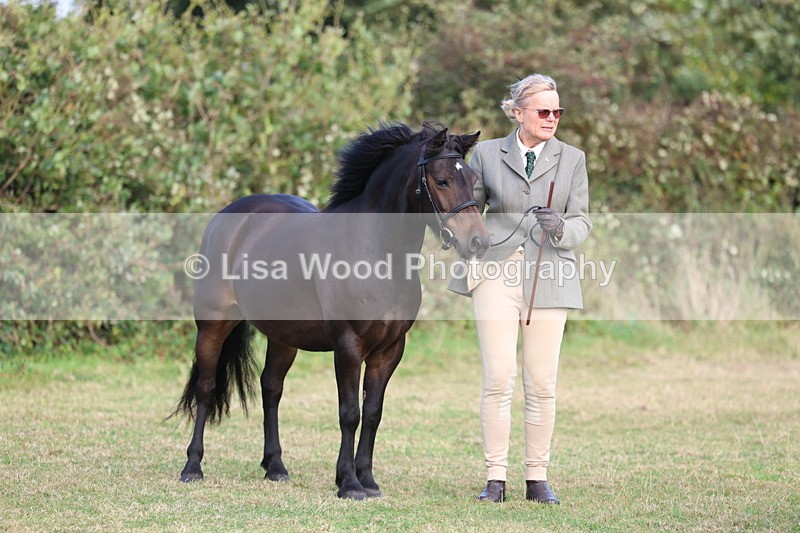 3E7A3238 - Class 12: M & M Small Breeds