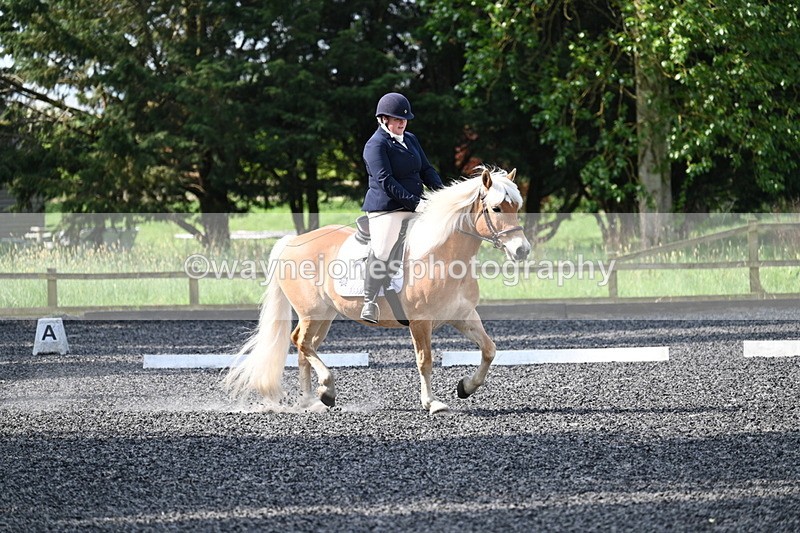 WJ7_7971 - Time 10:11 to 10:27