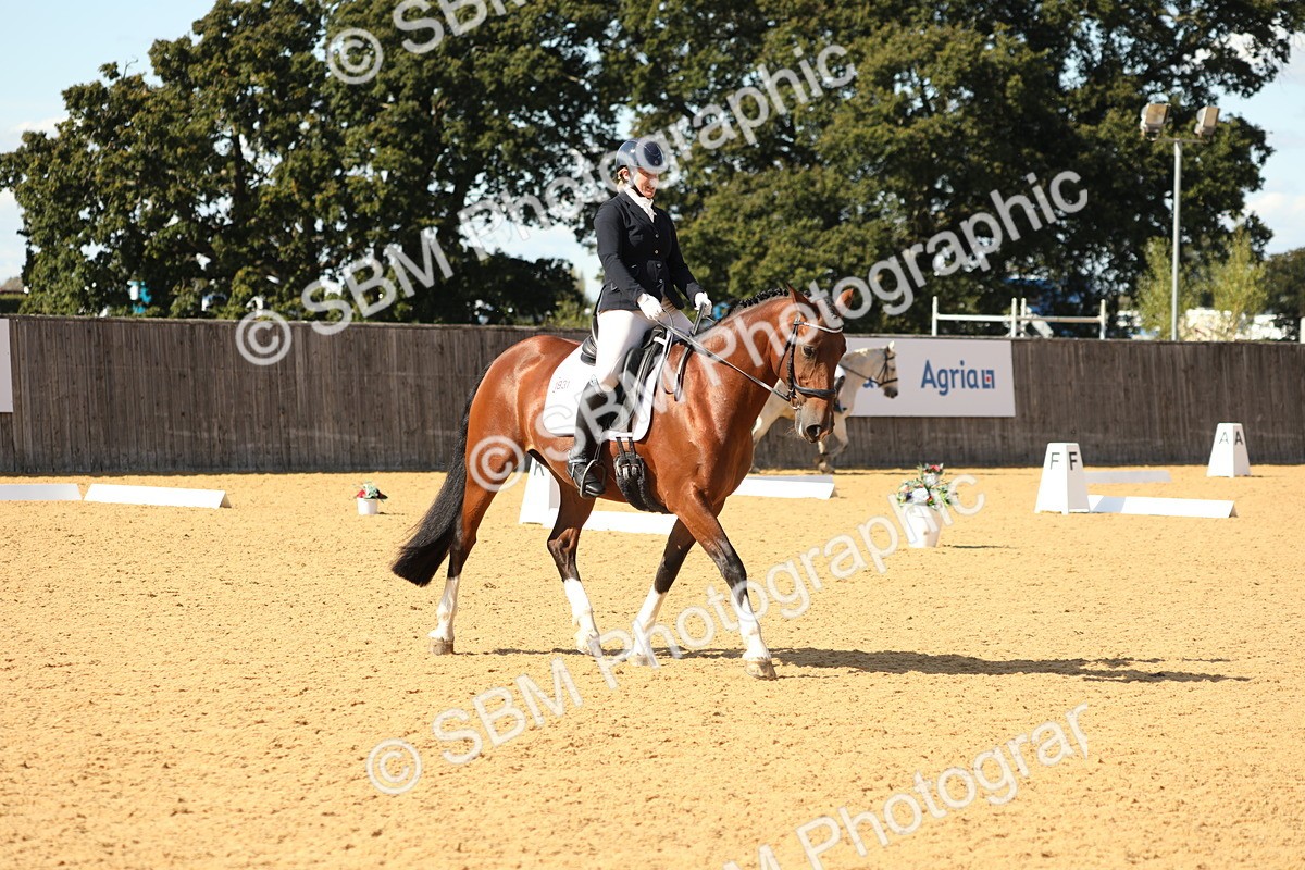 SBM_24544 - D17 - Grand Tour Championship - Novice 27