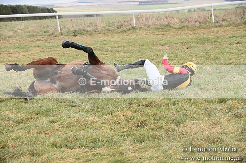 PtP 230119 71 - Royal Artillery Point-to-Point  - Larkhill  - 26/01/19