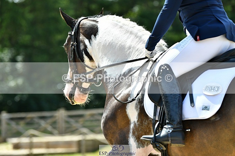 230623-134007-02418 - Cls 4 Novice 37Q 12.45 to End