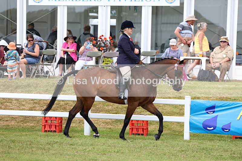 3E7A0824 - Class 8: Open Riding Horse/Hack