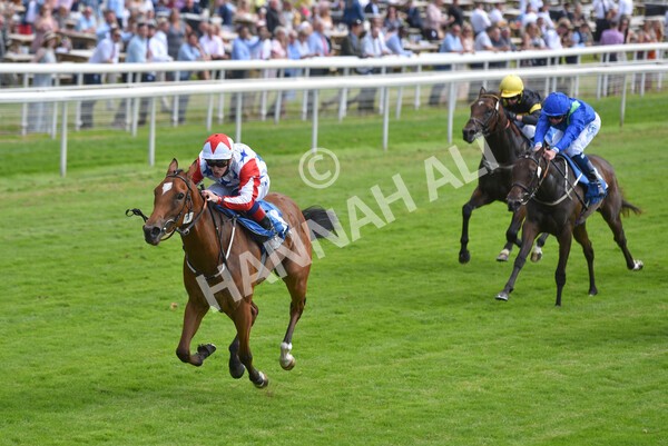 yr09072021r3-17 - Race 3 3.15pm William Hill Pick Your Places Irish EBF Novice Stakes