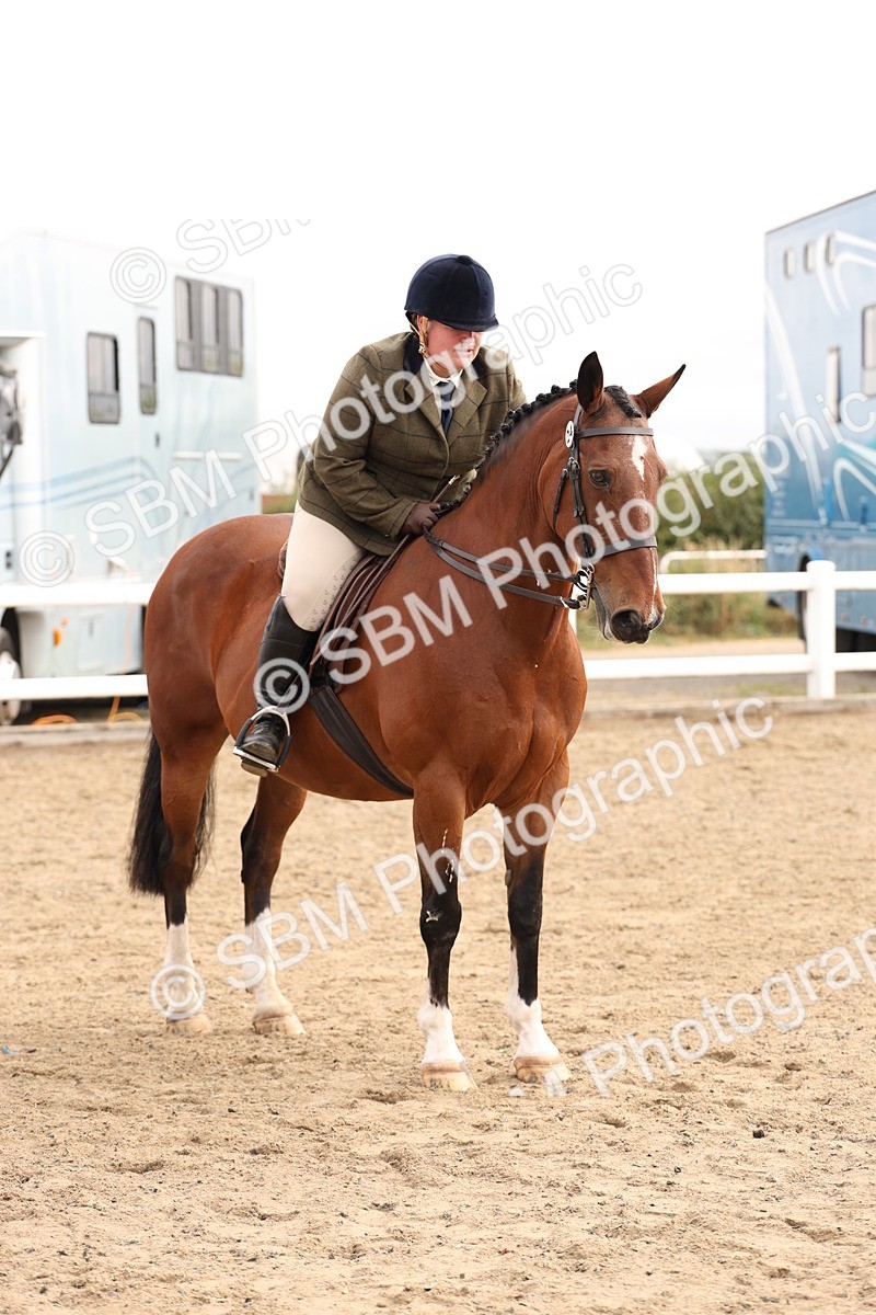 SBM_01633 - Class 52 - Ridden Veteran