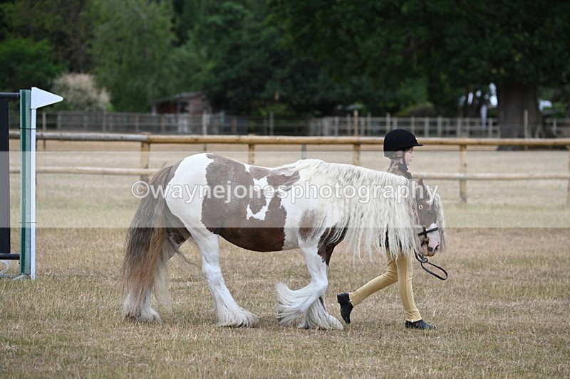WJ6_7857 - Class 10 Coloured in Hand