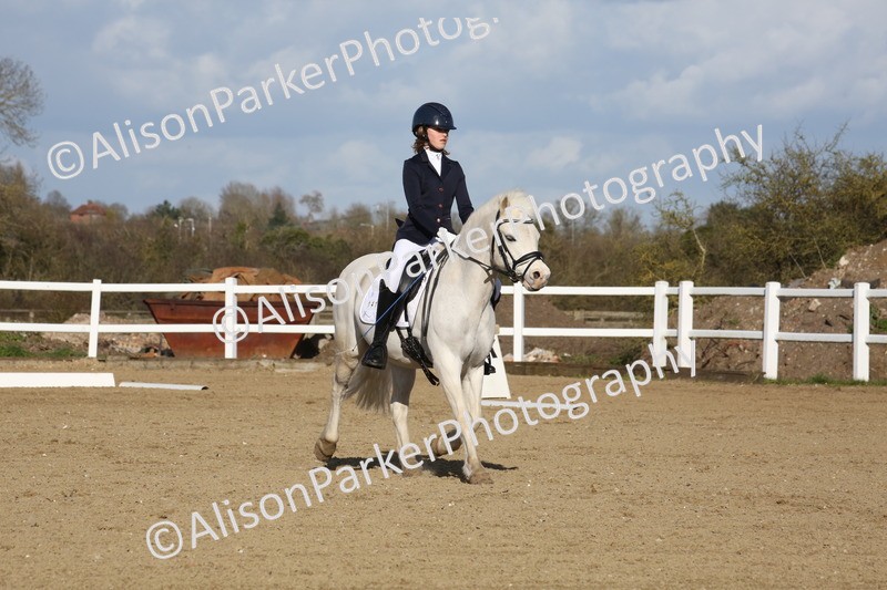 20260314-5271 - DR6 - Novice 2