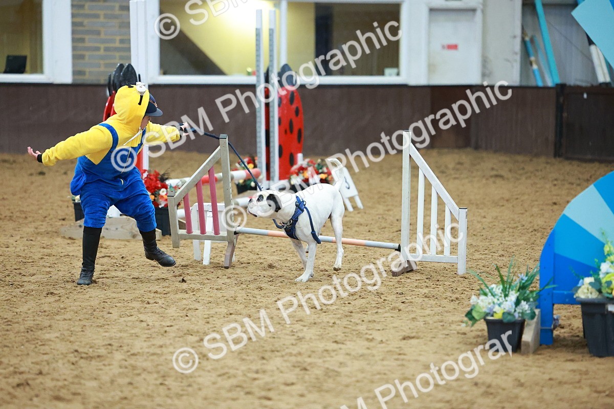 SBM_002275 - Class 3 - Horse & Hound (60cm)