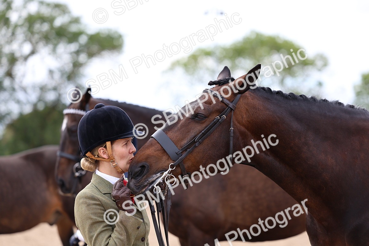 SBM_05778 - Class 28 - IH Veteran Horse