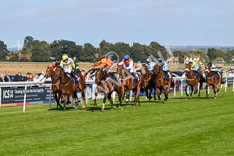 180924-Race 6-Elegant Erin-5022 - Race 6