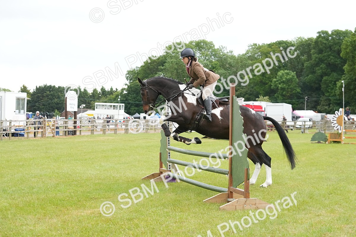 SBM_12557 - Class 97-98 - LIHS BSHA Rising Star Working Show Horse Hunter