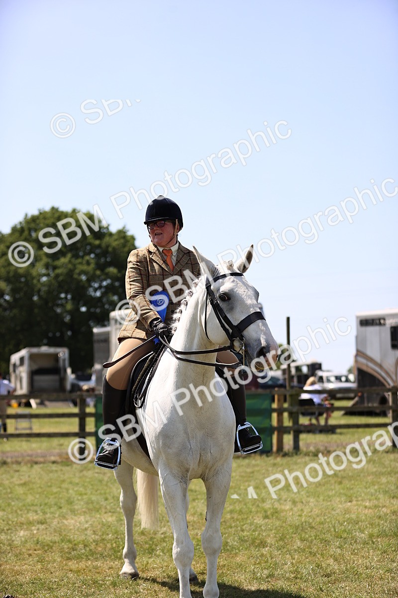 SBM_16184 - Class 79-80 - LIHS BSHA Rising Star Ridden Hunter
