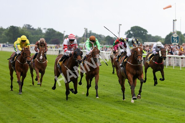 yr11062022r3-26 - Race 3 2.35pm The JCB Stakes