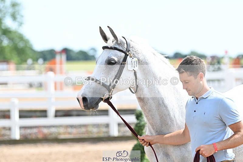 240717A-151806-02735 - Trot Up 3pm to 4pm