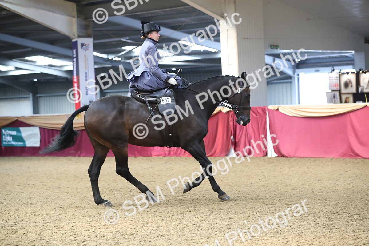 SBM_11559 - Class 105 Ridden Costume- Side Saddle