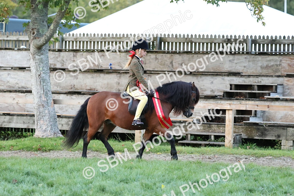 SBM_53456 - Super Supreme Championship (Sat)