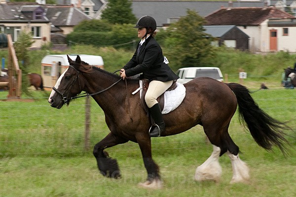 36 - Moniaive Horse Show 2010