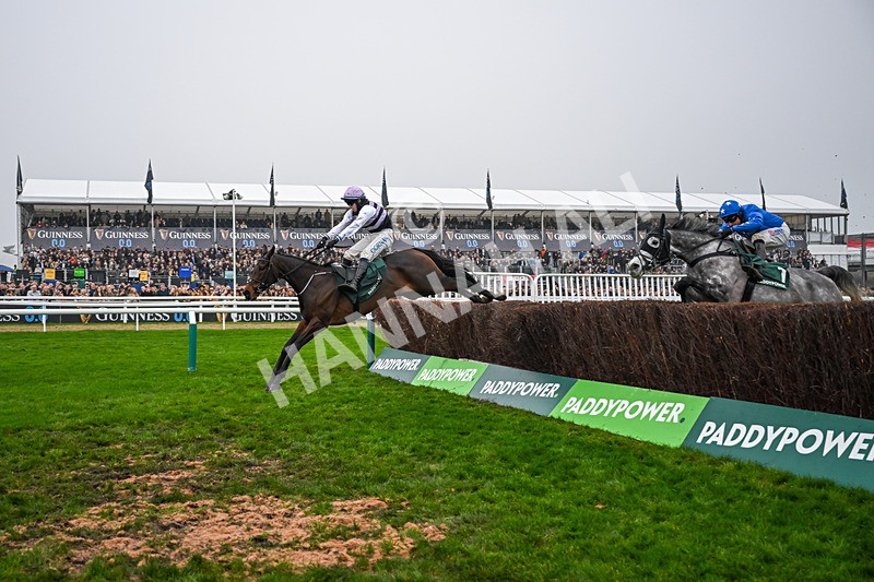 151125-Race 3-July Flower--3014 - Race 3