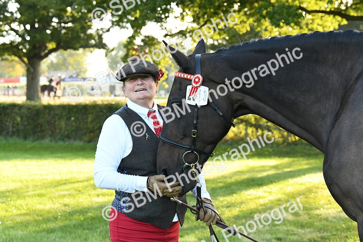 SBM_32623 - S15 - Condition & Turnout In Hand