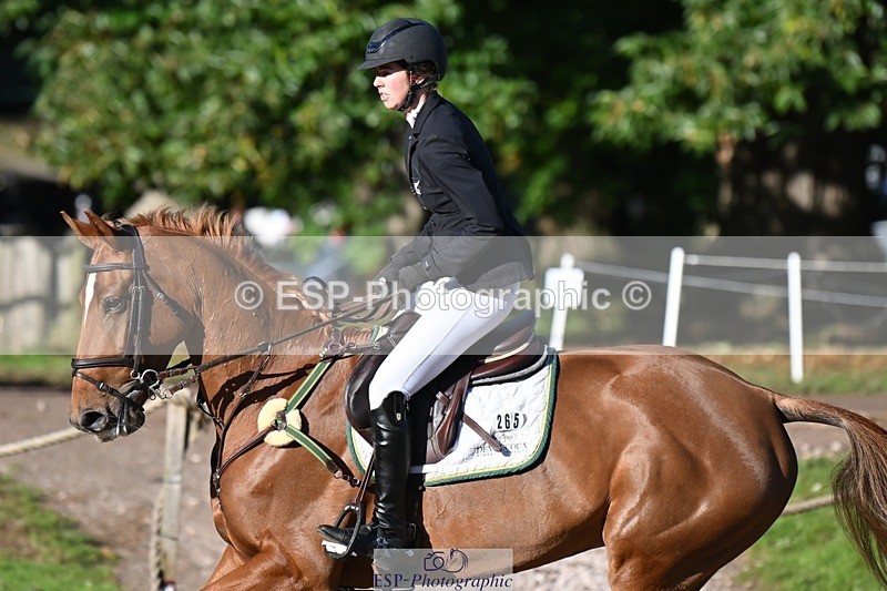 231022-102353-23334 - 265-EG.TIGER.CHILLI-Tayla.Mason-SJ