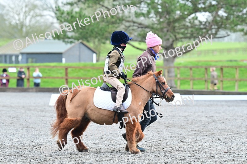 20260125-0927 - Class 9a - Walk Trot Assisted