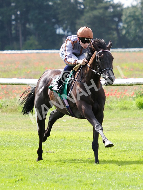 260724-Race 4-Yaajooz-03 - Race 4