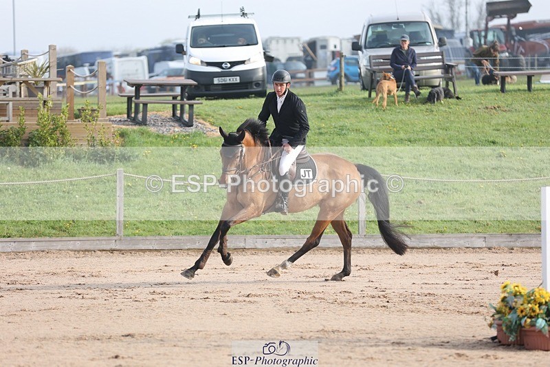 250424-084755-02523 - Cls 25 Young Horse 5yr old