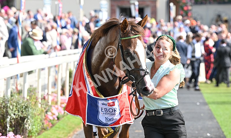 220826-167 Daiquiri Bay - Race 4 15.35pm Sky Bet Ebor Handicap