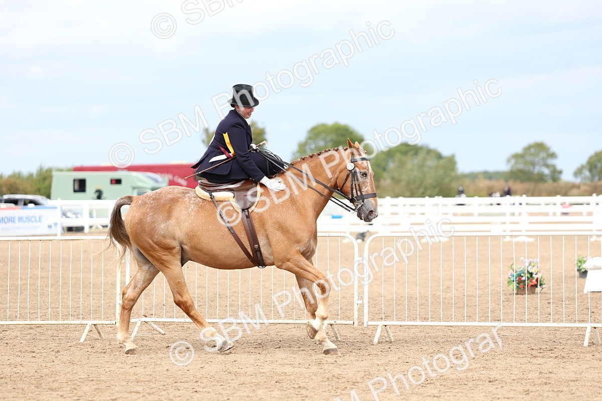 SBM_03372 - Class 23 - SSA Classical (any age)