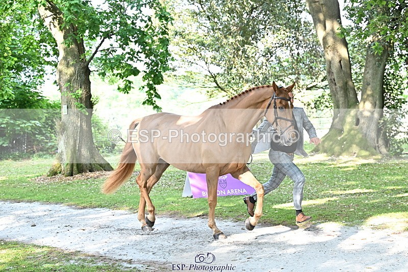 250521A-165632-01418 - C-273-Tim.Cheffings-HEARSAY.LARK.RISING