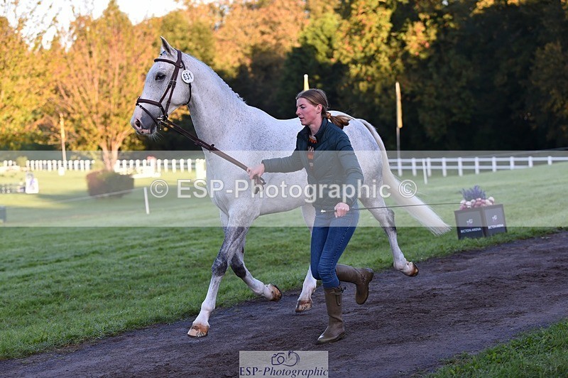 231022-084658-21356 - 631-BRIGHT.RINCO-Maisie.Morgan-TrotUp+SJ