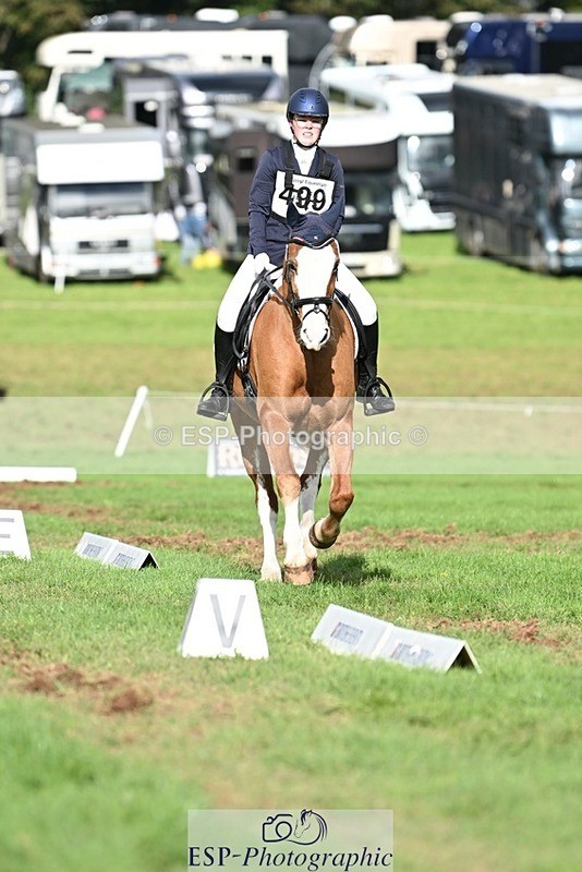 231020-143846-10701 - 499-GORFELYN.PETER.THE.GREAT-Charlotte.Bellamy-DR