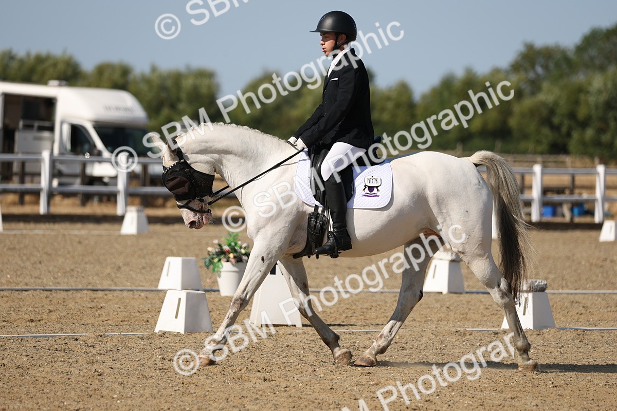SBM_012820 - Class 1 - P5 Bronze 9.00.10.12
