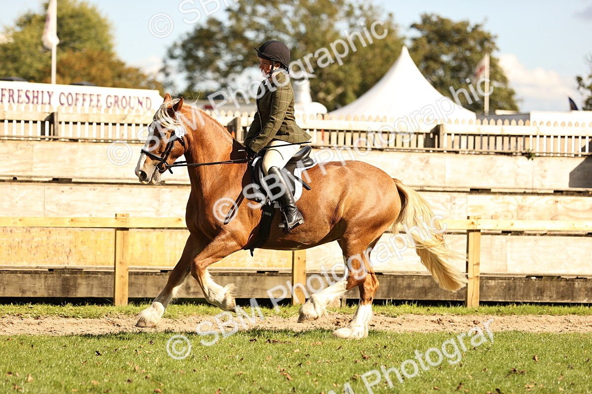 SBM_26407 - S6 - Novice & Newcomers Ridden Horse