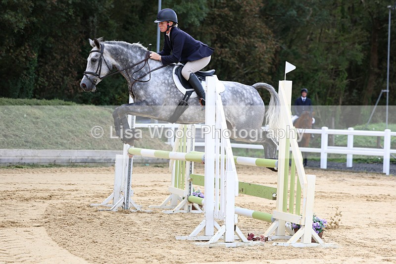 3E7A2060 - Class 4: Senior British Novice/90cm open