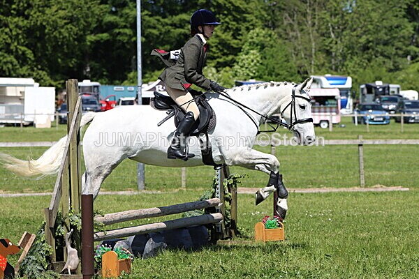 IMG_3532 - Working Hunter