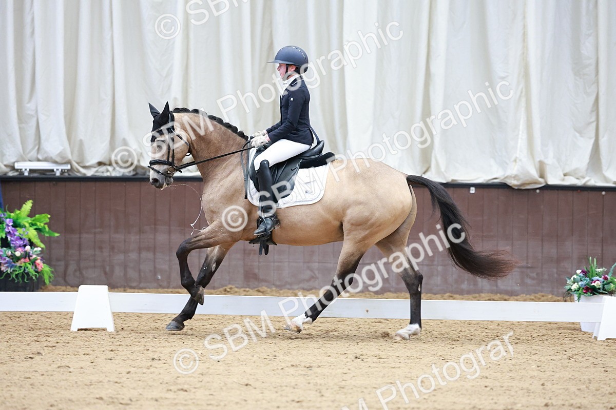 SBM_017233 - Class15 - FEI Pony