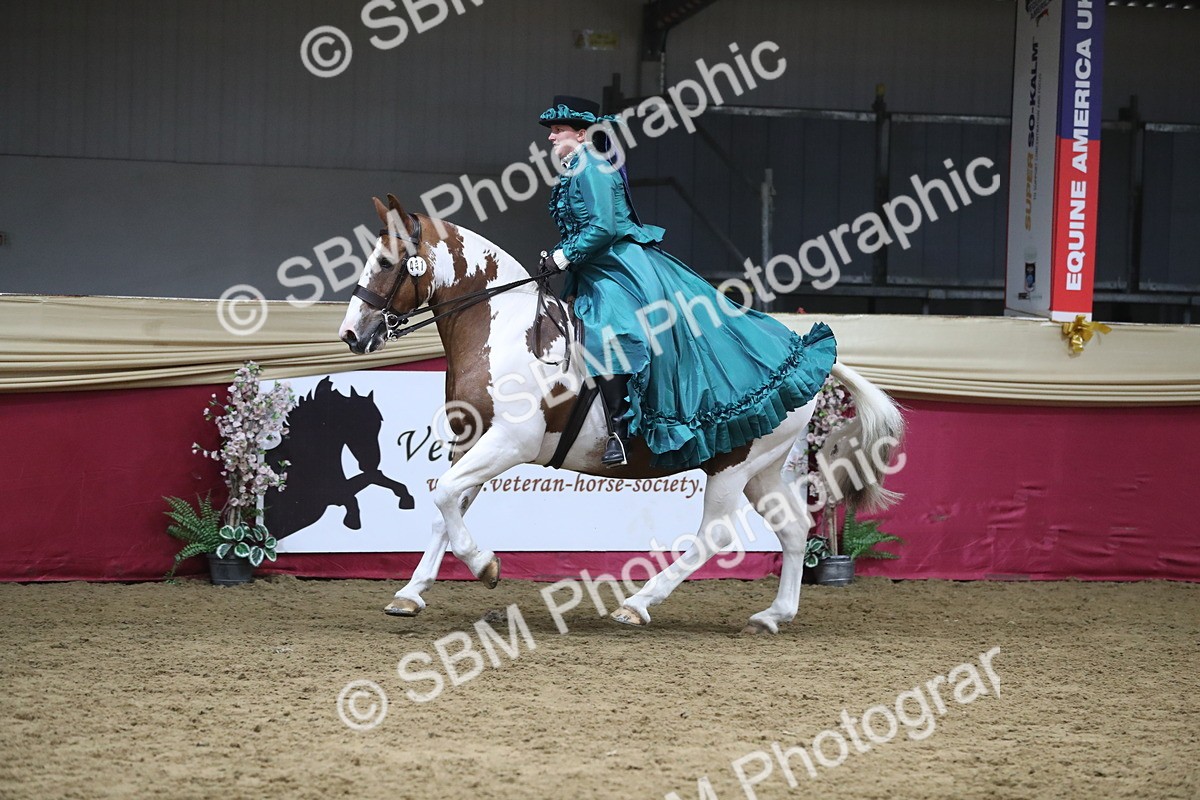 SBM_12033 - Class 106 Ridden Costume- Astride Adult (15-19)