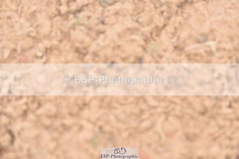 230531A-102056-00082 - Cls 1 British Novice & 90cm Open