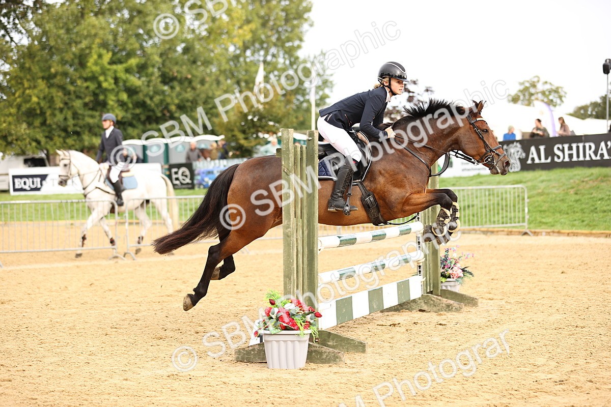 SBM_58437 - J41 - Grand Tour Horse & Pony 95cm