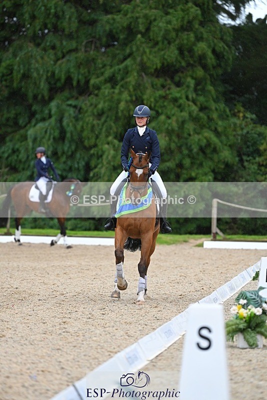 230813-163016-08332 - Medium Bronze Presentations